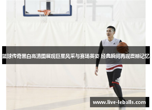 篮球传奇黑白高清图展现巨星风采与赛场英姿 经典瞬间再现震撼记忆
