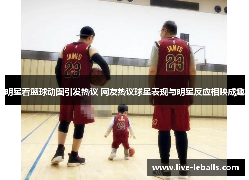明星看篮球动图引发热议 网友热议球星表现与明星反应相映成趣
