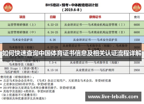 如何快速查询中国体育证书信息及相关认证流程详解