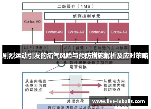剧烈运动引发的疝气风险与预防措施解析及应对策略