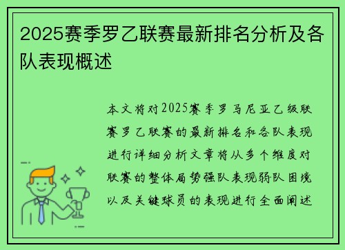 2025赛季罗乙联赛最新排名分析及各队表现概述