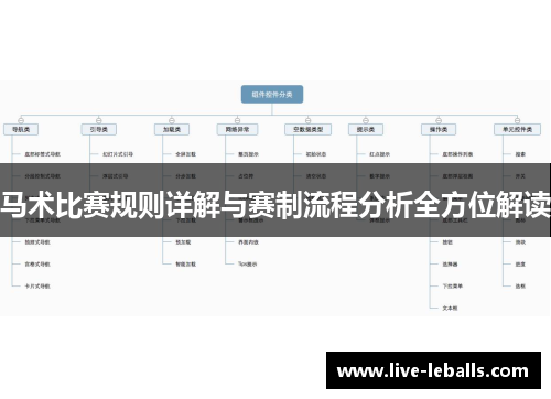 马术比赛规则详解与赛制流程分析全方位解读